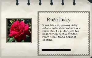 Obrázok